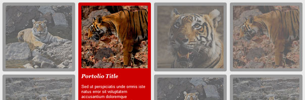 html-css-image-gallery html css image hover effect gallery