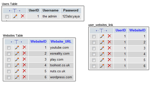 All our data tables are populated and the correct website and user id are inserted into the link table